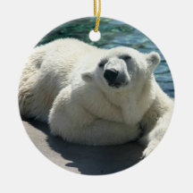 Arctic Polar Bear Ornaments
