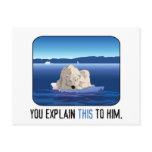 Arctic Polar Bear Post Cards