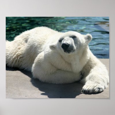 Arctic Polar Bear Poster Print by WildlifeAnimals
