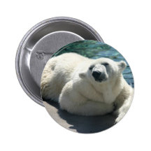 Arctic Polar Bear Round Button