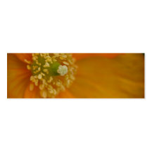 Arctic Poppy • Bookmark / Business Card