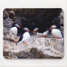 Arctic Puffins Mousepads