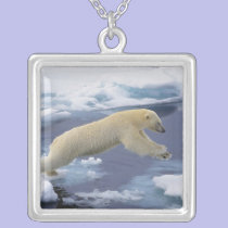 Arctic, Svalbard, Polar Bear extending and necklaces