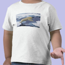 Arctic, Svalbard, Polar Bear extending and t-shirts