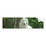 Arctic Wolf Bumper Sticker