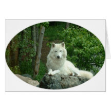 Arctic Wolf Greeting Card