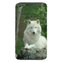 Arctic Wolf iTouch Case iPod Touch Case-Mate Case
