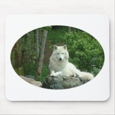 Arctic Wolf Mouse Pad by WildlifeAnimals