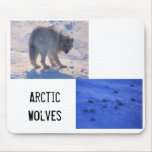 Arctic Wolf Mousepads