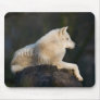 Arctic Wolf Mousepad