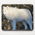 Arctic Wolf Mousepads