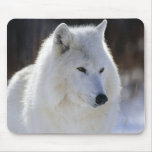 Arctic Wolf Mouse Pads