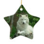 Arctic Wolf Ornament