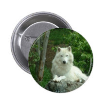 Arctic Wolf Pin