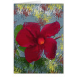 Ardor Card