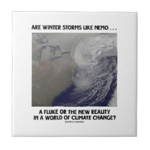 Are Winter Storms Like Nemo Fluke Or New Reality? Ceramic Tiles