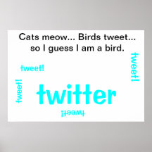 Are you a cat or a bird? poster