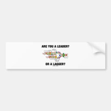 Are You A Leader? Or A Lagger? (DNA Replication) Bumper Sticker