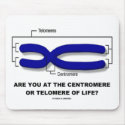 Are You At The Centromere Or Telomere Of Life? mousepads
