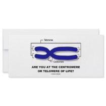 Are You At The Centromere Or Telomere Of Life?