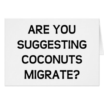 Are You Coconuts Card by LabelMeHappy