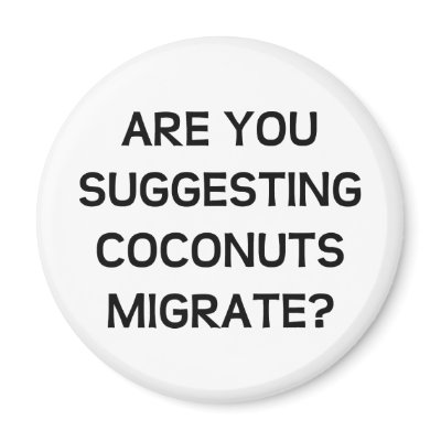 Are You Coconuts Magnets by LabelMeHappy
