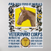 Are You Fond of Horses Poster