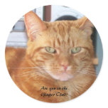 Are you in the Ginger Club? stickers