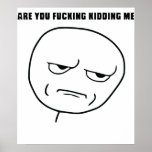 Are you kidding me? (explicit) print