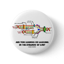 Are You Leading Or Lagging In The Strands Of Life?