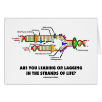 Are You Leading Or Lagging In The Strands Of Life?