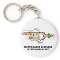 Are You Leading Or Lagging In The Strands Of Life?