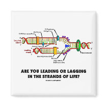 Are You Leading Or Lagging In The Strands Of Life?
