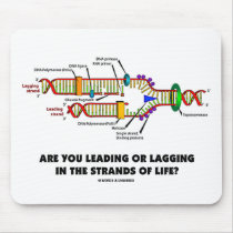 Are You Leading Or Lagging In The Strands Of Life?