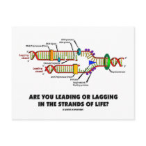 Are You Leading Or Lagging In The Strands Of Life?
