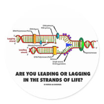 Are You Leading Or Lagging In The Strands Of Life?