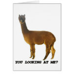 Are you looking at me? greeting cards