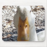 Are you looking at me mousepads