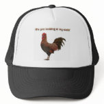 Are you looking at my cock? trucker hats