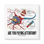 Are You Paying Attention? (Neuron Synapse Humour)