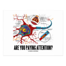 Are You Paying Attention? (Neuron Synapse Humour) Postcards
