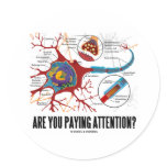 Are You Paying Attention? (Neuron Synapse Humour)