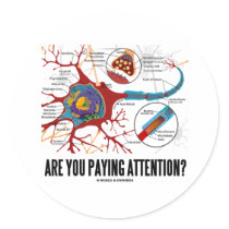 Are You Paying Attention? (Neuron Synapse Humour)