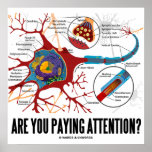 Are You Paying Attention? (Neuron / Synapse) posters