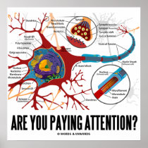 Are You Paying Attention? (Neuron / Synapse)