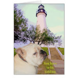 Are you serious? greeting card