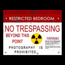 Area 51 bedroom poster posters