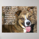 Aren'T I Cute??? Poster