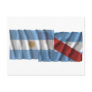 Argentina & Entre Ríos waving flags