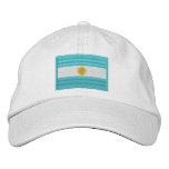 Argentina Flag